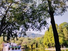 -广州市白云山风景名胜区