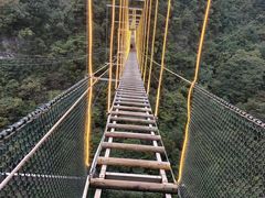 -千岛湖石林