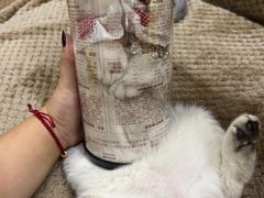 -黎里王记辣脚(黎里总店)