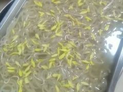 -华强阁菊花宴自助火锅店