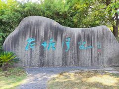 -荷塘月色湿地公园·向阳花洲