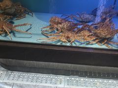 -阿伟海鲜楼·福建菜(延寿店)