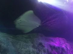 -沈阳海洋探索中心