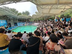 -合肥野生动物园