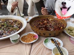 来凤鱼-瓦房兔(璧山店)