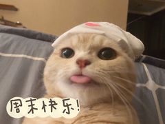 -红小满休闲餐厅(十全街店)