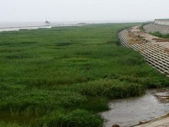 -南汇嘴观海公园