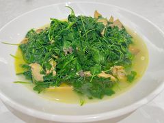 蚌肉金花菜-金陵山水丽景酒店-中餐厅