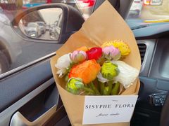 -洪都大拇指(洪都店)
