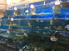 水产区-小船渔村•大连菜•大连焖鱼(明泽街店)
