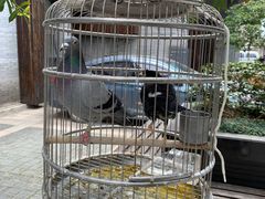 -扬州东关街文昌阁桔子水晶酒店