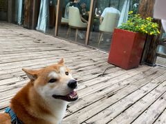-小湾茶楼