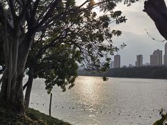 -南宁南湖公园