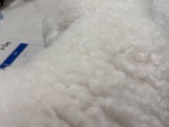 -海门爱心宠物医院