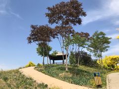 -东郊湿地公园