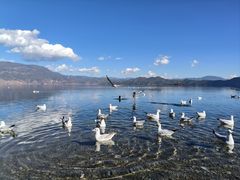 -丽江泸沽湖景区
