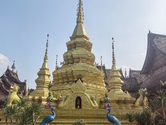-西双版纳傣族园