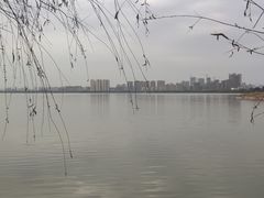 -艾溪湖湿地公园