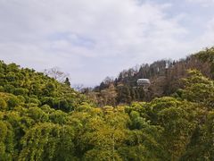 -莫干山风景区