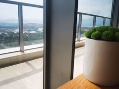 -瑰丽酒店·海吧·天际下午茶·现场DJ·天台酒吧