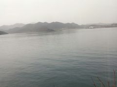 -望湖烤鱼
