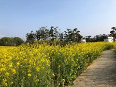 -武汉紫薇都市田园