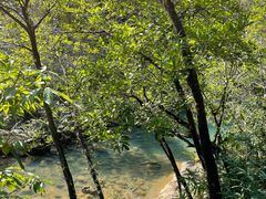 -广州白江湖森林公园