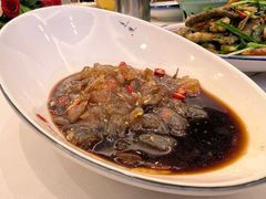 白菜心伴海蜇皮-九头鸟酒家(四道口店)