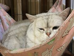 -津菜宋记老房子(鼓楼店)