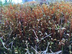 -白塘生态植物园