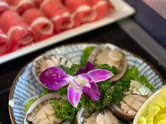 -金龙·打边炉(南京西路店)