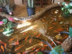 -回忆以前铁锅炖鱼村(一部六号街店)