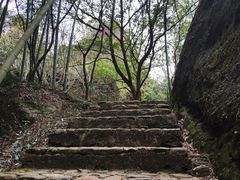 -绍兴汤江岩风景区
