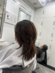 -镁连社·美联社