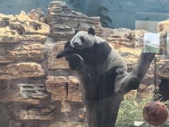 -石家庄市动物园