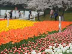 -苏州上方山国家森林公园