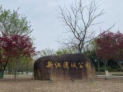 -新江湾城公园