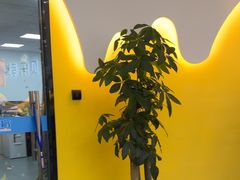 -贝乐少儿英语·全外教(滨江中心)