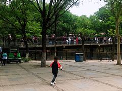 -石家庄市动物园