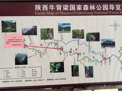 -牛背梁国家森林公园