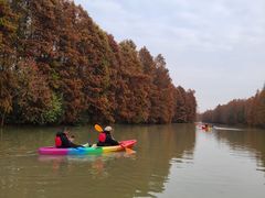 -上海海湾国家森林公园