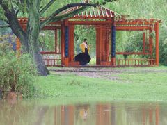 -上海共青森林公园