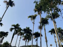 -海南槟榔谷黎苗文化旅游区