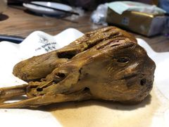 -老号尤兔头(幸福店)