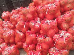 -西郊国际农产品交易中心