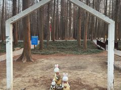 -日照海滨国家森林公园