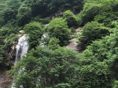 -陕西省红河谷森林公园