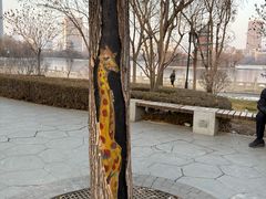 -迎泽公园