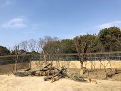 -常州淹城野生动物世界
