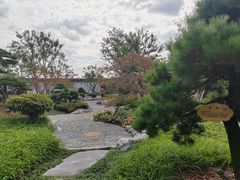 -上海滨江森林公园